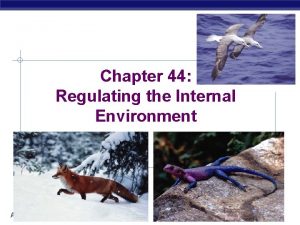 Chapter 44 Regulating the Internal Environment AP Biology