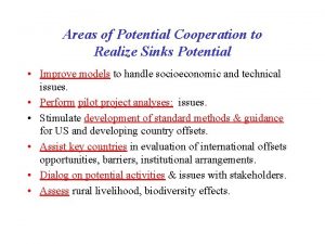 Areas of Potential Cooperation to Realize Sinks Potential