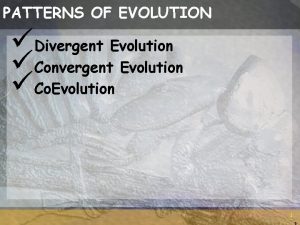 PATTERNS OF EVOLUTION Divergent Evolution Convergent Evolution Co