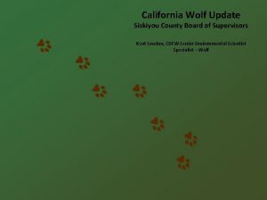 California Wolf Update Siskiyou County Board of Supervisors