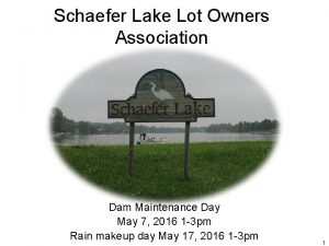 Schaefer Lake Lot Owners Association Dam Maintenance Day