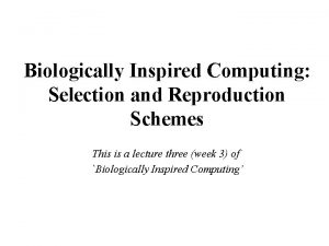 Biologically Inspired Computing Selection and Reproduction Schemes This