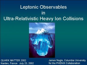 Leptonic Observables in UltraRelativistic Heavy Ion Collisions QUARK