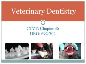 Veterinary Dentistry CTVT Chapter 36 DRG 692 704