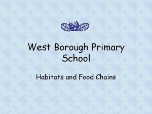 West Borough Primary School Habitats and Food Chains