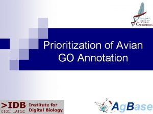 Prioritization of Avian GO Annotation Structural Annotation Genome