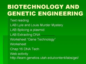 BIOTECHNOLOGY AND GENETIC ENGINEERING Text reading LAB Lyle