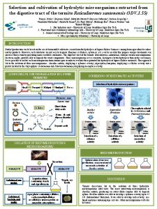 Selection and cultivation of hydrolytic microorganisms extracted from