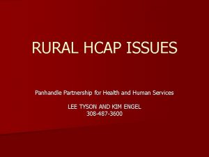RURAL HCAP ISSUES Panhandle Partnership for Health and