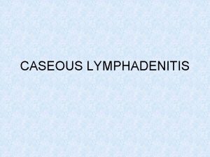 CASEOUS LYMPHADENITIS CLA Other names PSEUDOTUBERCULOSIS CHEESY GLANDS