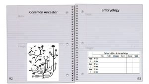 Note Image 92 Common Ancestor Note Embryology Image