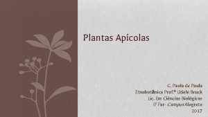 Plantas Apcolas C Paola de Paula Etnobotnica Prof
