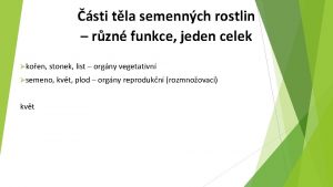 sti tla semennch rostlin rzn funkce jeden celek