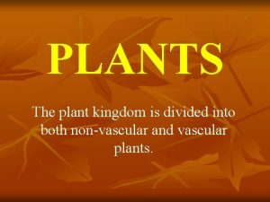 PLANTS The plant kingdom is divided into both