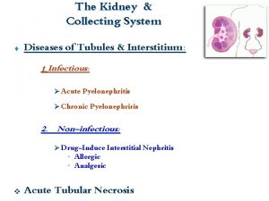 The Kidney Collecting System Diseases of Tubules Interstitium