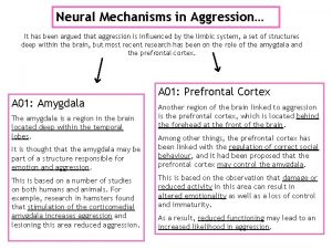 Neural Mechanisms in Aggression It has been argued