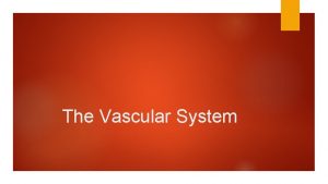 The Vascular System The vascular System The vascular