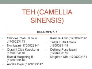 TEH CAMELLIA SINENSIS KELOMPOK 7 Chindwi Irtiah Hanolin