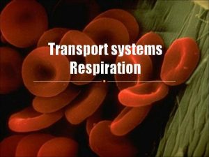 Transport systems Respiration Well be discussing what respiration