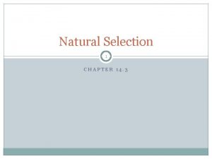 Natural Selection 1 CHAPTER 14 3 Darwins Theory