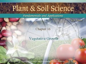 Chapter 16 Vegetative Growth Copyright 2010 Delmar Cengage