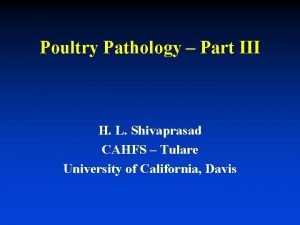 Poultry Pathology Part III H L Shivaprasad CAHFS