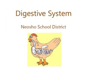 Digestive System Neosho School District Why do we