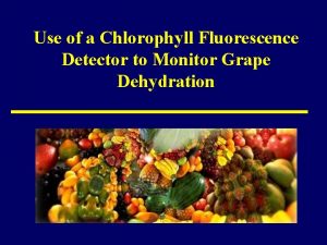 Use of a Chlorophyll Fluorescence Detector to Monitor