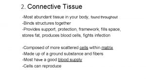 2 Connective Tissue Most abundant tissue in your