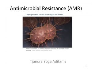Antimicrobial Resistance AMR Tjandra Yoga Aditama 1 AMR