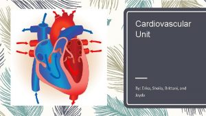 Cardiovascular Unit By Erika Sheila Brittani and Jayda