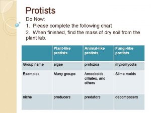 Protists Do Now 1 Please complete the following