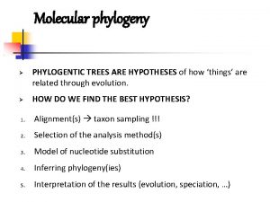 Molecular phylogeny PHYLOGENTIC TREES ARE HYPOTHESES of how