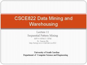 CSCE 822 Data Mining and Warehousing Lecture 11