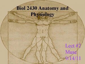 Biol 2430 Anatomy and Physiology Lect 2 Muse