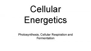 Cellular Energetics Photosynthesis Cellular Respiration and Fermentation TEKS