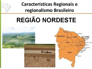 Caractersticas Regionais e regionalismo Brasileiro REGIO NORDESTE O