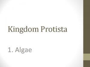 Kingdom Protista 1 Algae Characteristics of Algae Autotrophic