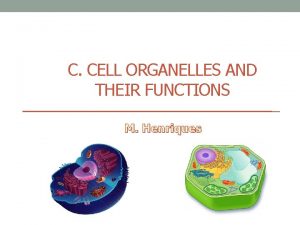 C CELL ORGANELLES AND THEIR FUNCTIONS M Henriques