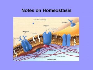 Notes on Homeostasis Homeostasis biological balance or steady