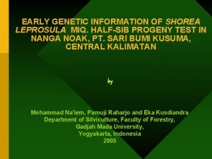EARLY GENETIC INFORMATION OF SHOREA LEPROSULA MIQ HALFSIB