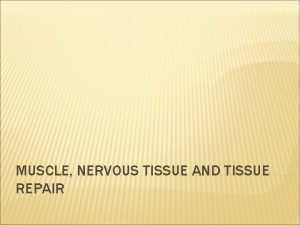 MUSCLE NERVOUS TISSUE AND TISSUE REPAIR 3 TYPES
