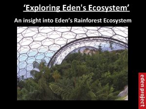 Exploring Edens Ecosystem An insight into Edens Rainforest