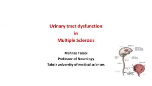 Urinary tract dysfunction in Multiple Sclerosis Mahnaz Talebi