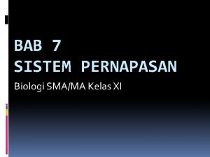 BAB 7 SISTEM PERNAPASAN Biologi SMAMA Kelas XI