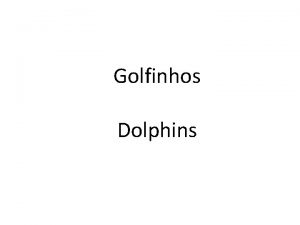 Golfinhos Dolphins The clowns of the sea Brincalhes