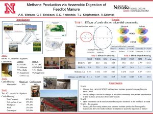 Methane Production via Anaerobic Digestion of Feedlot Manure