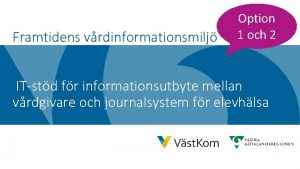 Framtidens vrdinformationsmilj Option 1 och 2 ITstd fr