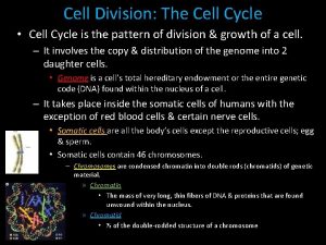 Cell Division The Cell Cycle Cell Cycle is