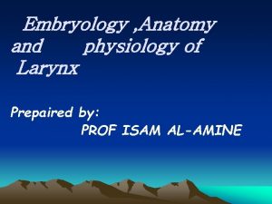 Embryology Anatomy and physiology of Larynx Prepaired by